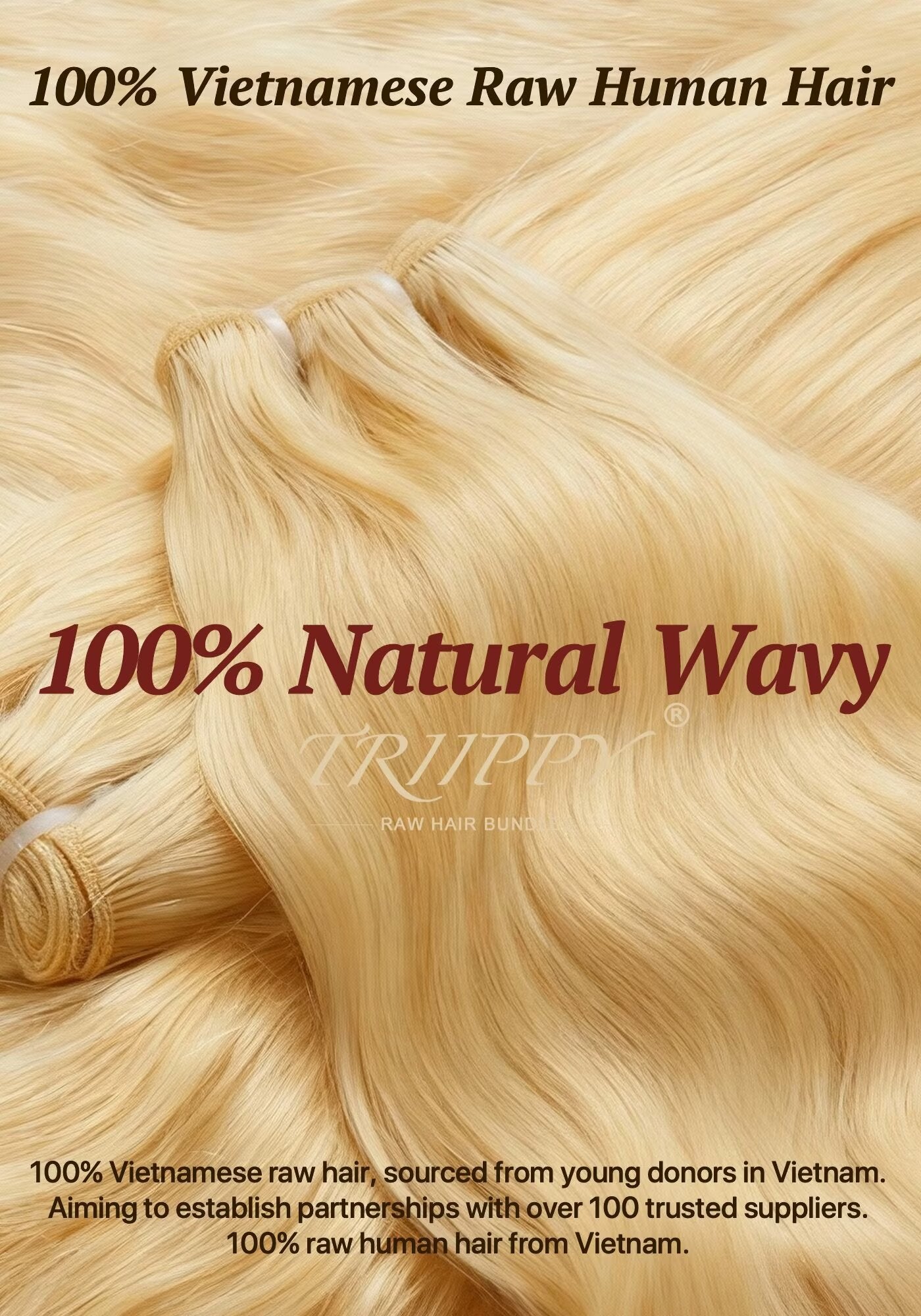 TRIIPPY Natural Honey Blonde Bundles Human Hair,100% Vietnamese Raw Human Hair Natural Body Wave Sew in Weave 3 Bundles,5X Lifespan Over Regular 613 Hair,No.1 Raw Hair Brand On Amazon